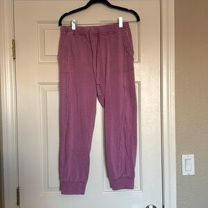 FP movement jogger sweats